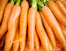 Carrots Stock Photography Carrots Stock Photography