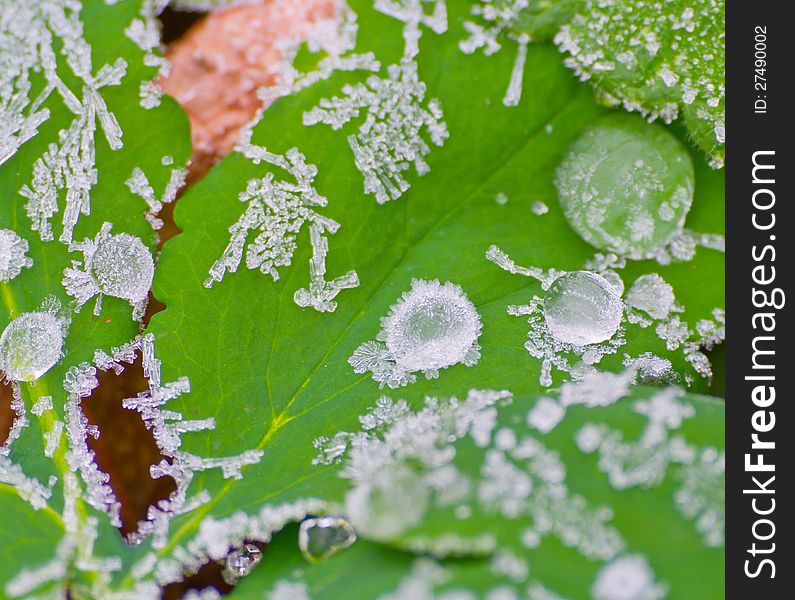 Icy morning dew in November