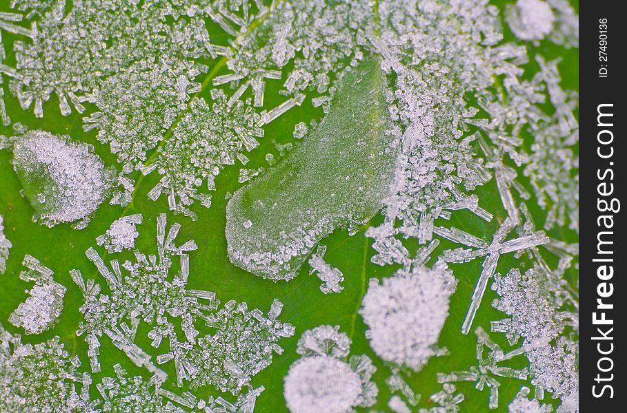 Icy morning dew in November