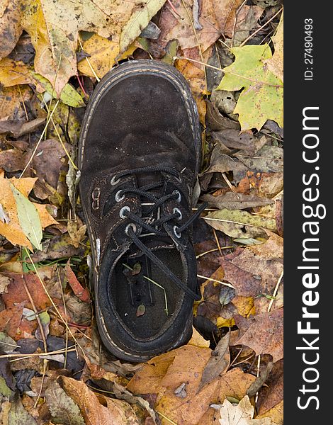 Brown left shoe on colorful leaves