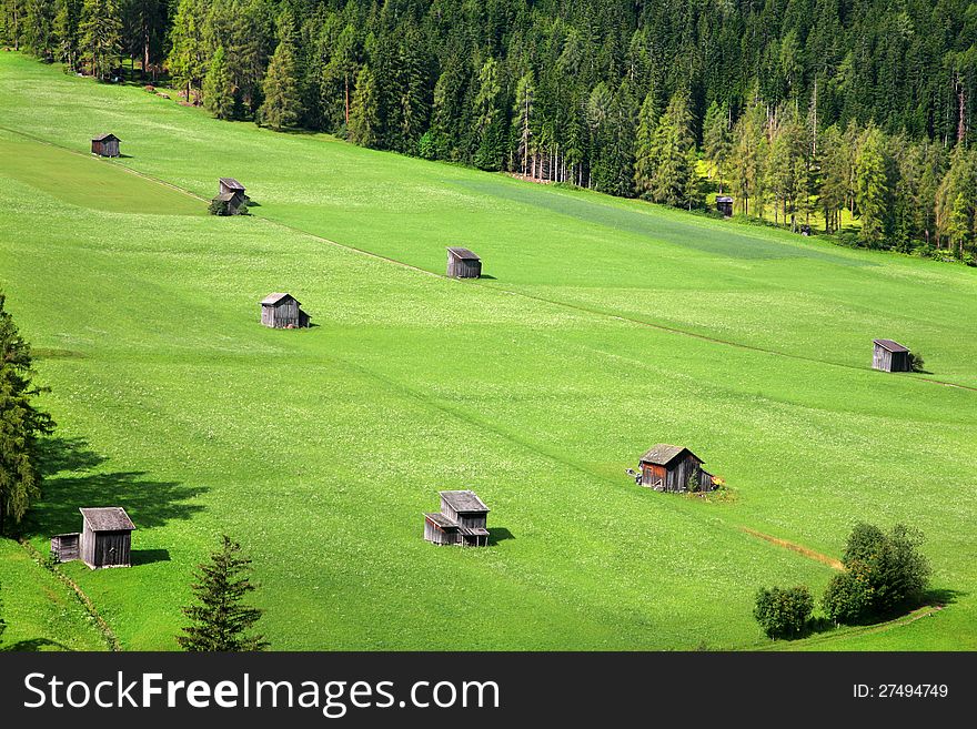 Beautiful green pastures - Sexten - Italy