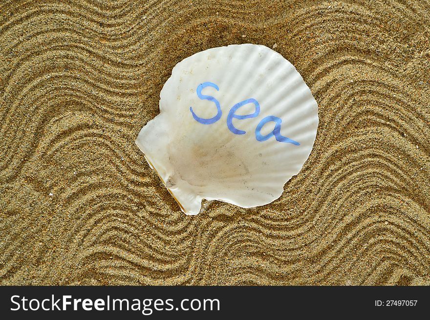 The decorated sea shell with the text on the sand background. The decorated sea shell with the text on the sand background