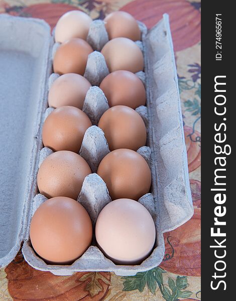 One dozen eggs in an egg carton