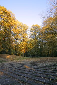 Autumn Park In The Morning Royalty Free Stock Image Autumn Park In The Morning Royalty Free Stock Image