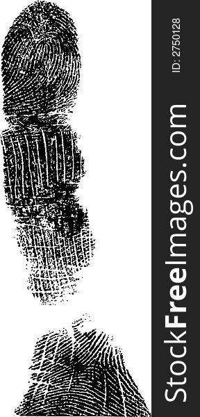 Full Finger FingerPrint (Very Detailed Vector Image). Full Finger FingerPrint (Very Detailed Vector Image)