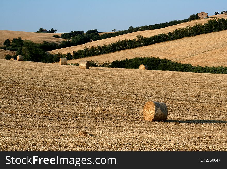 Panoramic scene of countryside captured near Tolentino / Macerata / Marche. Panoramic scene of countryside captured near Tolentino / Macerata / Marche