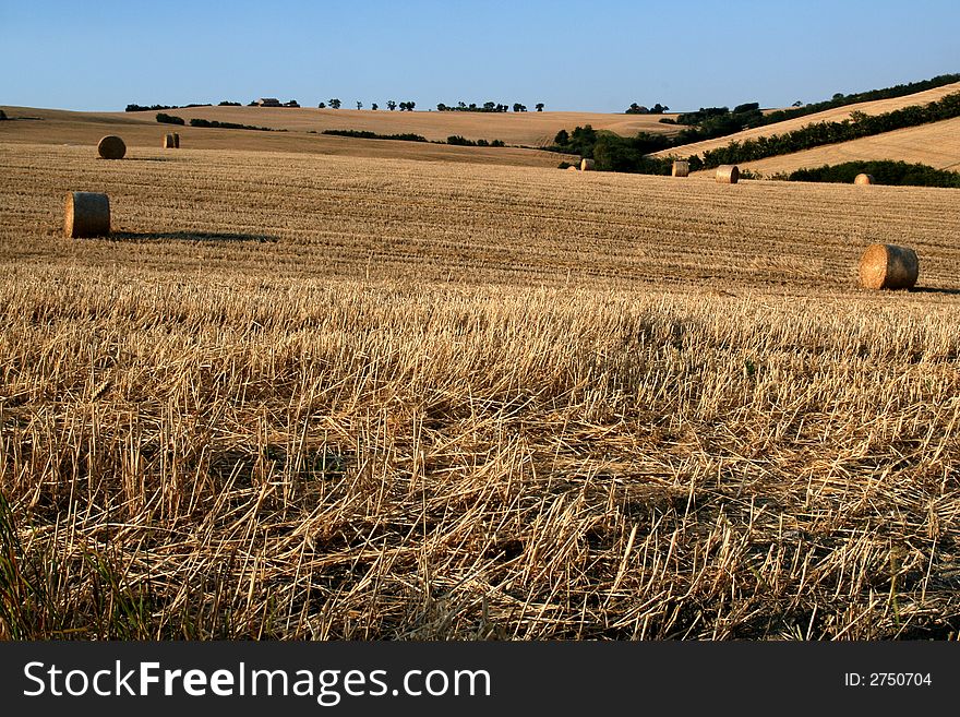 Panoramic scene of countryside captured near Tolentino / Macerata / Marche. Panoramic scene of countryside captured near Tolentino / Macerata / Marche