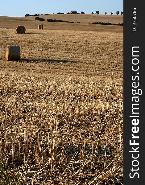 Marche Countryside Scene