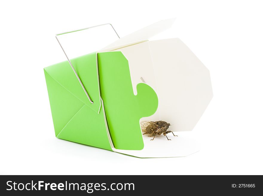Woodland Cicada in Takeout Container isolated on a white background