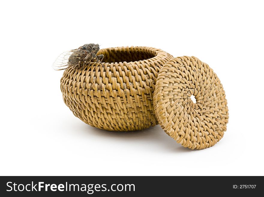 Woodland Cicada With Basket