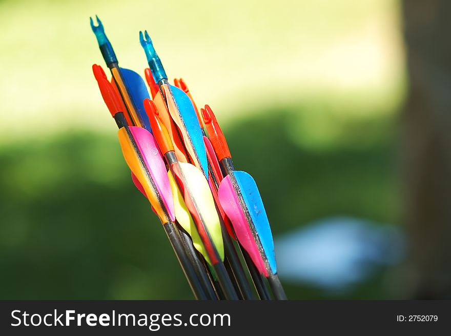 Archery arrows with colorful feather