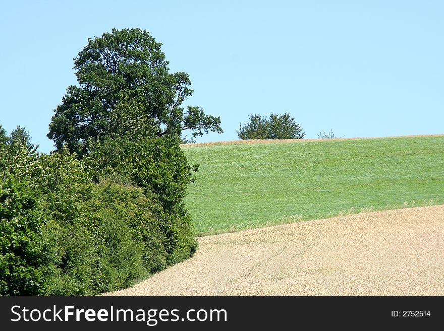 The brown and green field on background blue sky. The brown and green field on background blue sky.