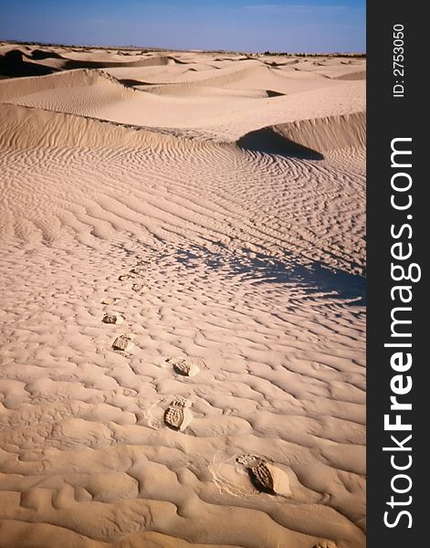 Footprints on desert sand dunes