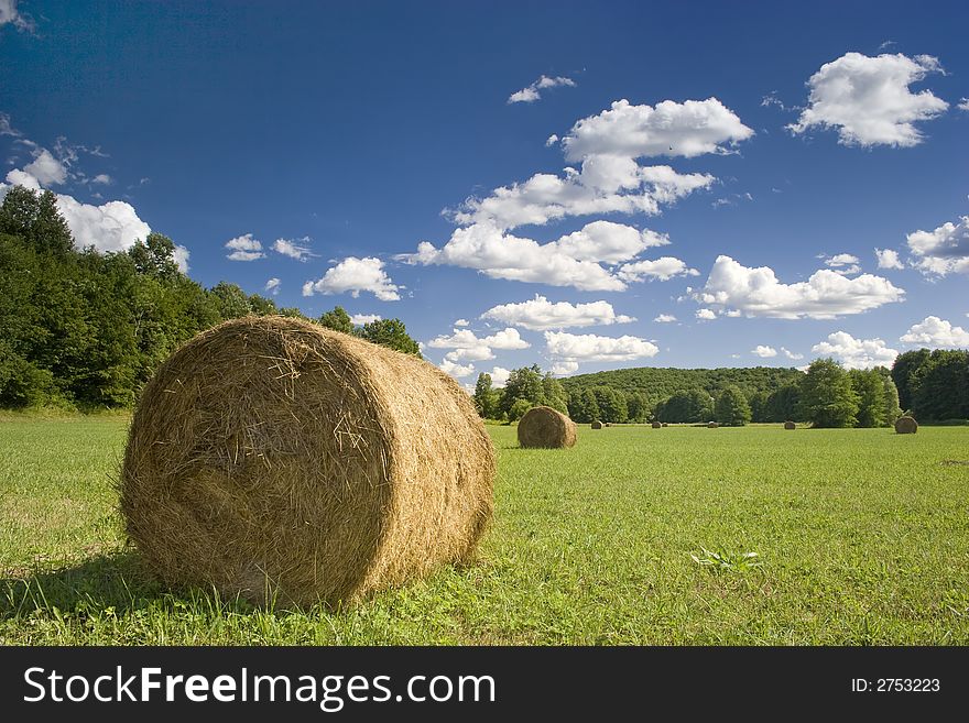 Bales of hay on a green meadow