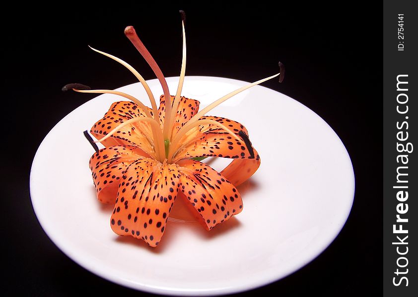 Color photo of a single tiger lily on a white plate with a black background. Color photo of a single tiger lily on a white plate with a black background.