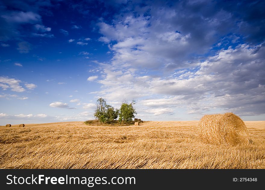 Summer hay bale in a ungarish field, and beauty landscape. Summer hay bale in a ungarish field, and beauty landscape