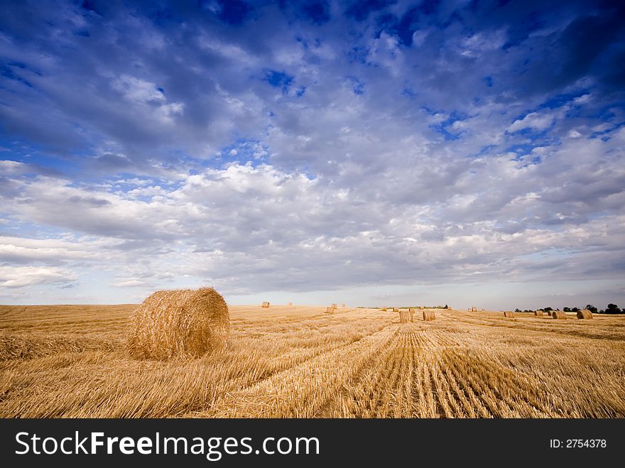 Summer hay bale in a ungarish field, and beauty landscape. Summer hay bale in a ungarish field, and beauty landscape