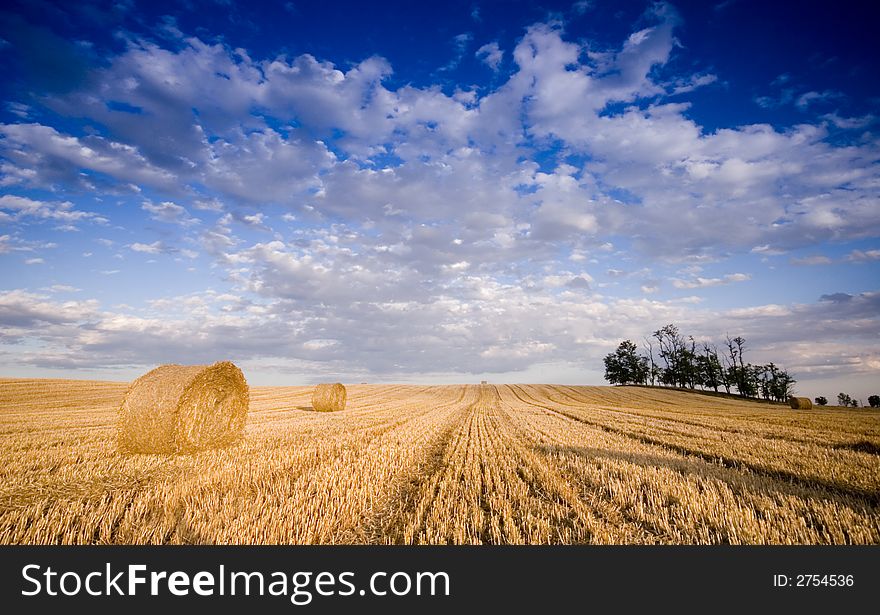 Summer hay bale in a ungarish field, and beauty landscape. Summer hay bale in a ungarish field, and beauty landscape