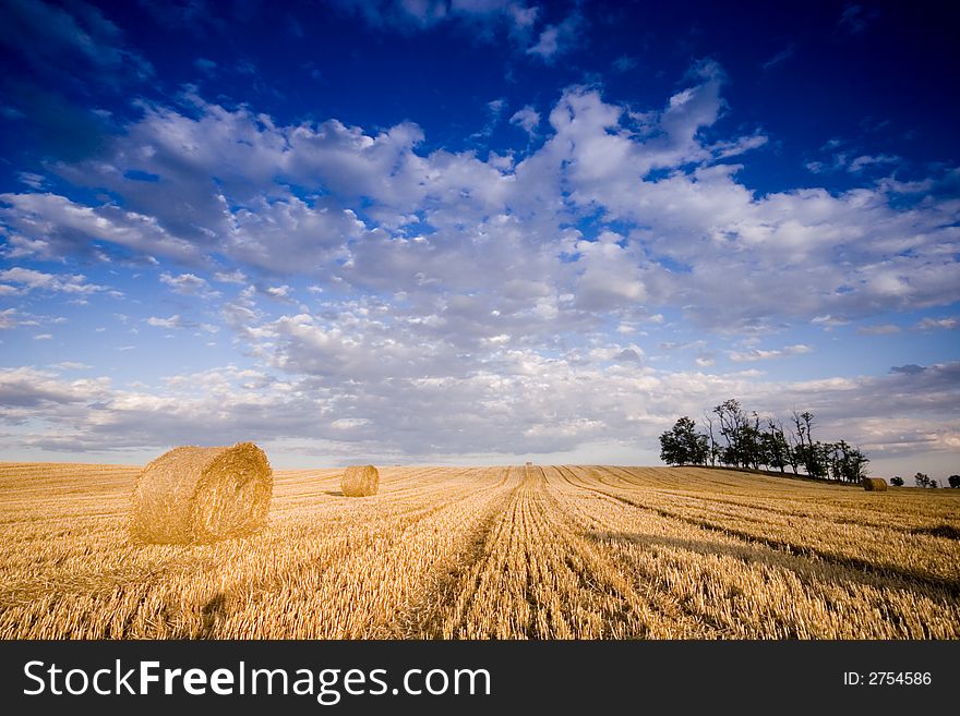 Summer hay bale in a ungarish field, and beauty landscape. Summer hay bale in a ungarish field, and beauty landscape