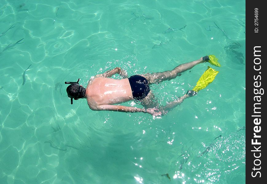 A man snorkeling in a tropical sea. A man snorkeling in a tropical sea