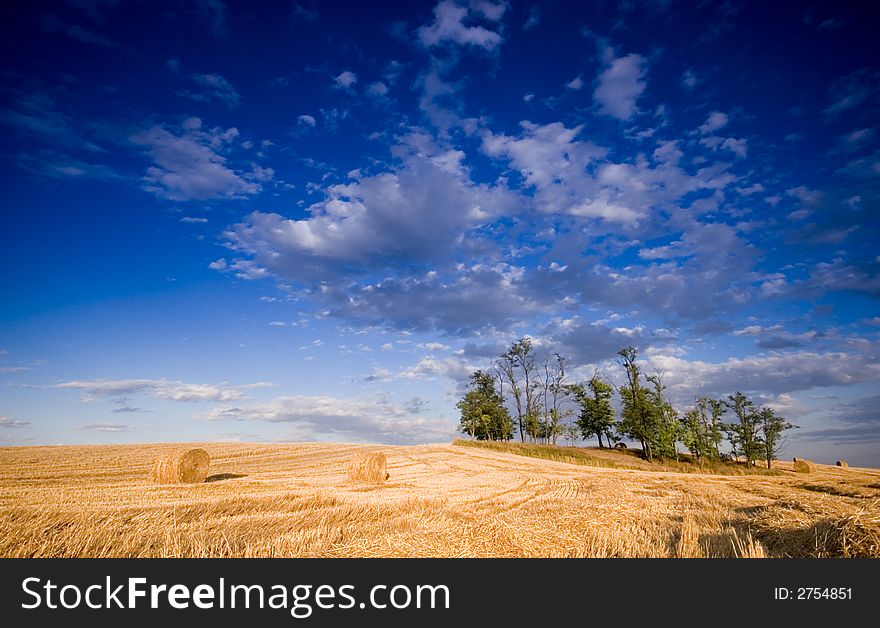 Summer hay bale in a ungarish field, and beauty landscape. Summer hay bale in a ungarish field, and beauty landscape