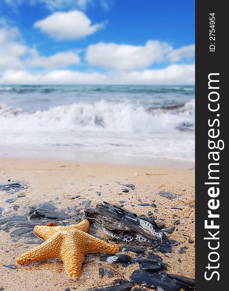 A Starfish on a beach. A Starfish on a beach