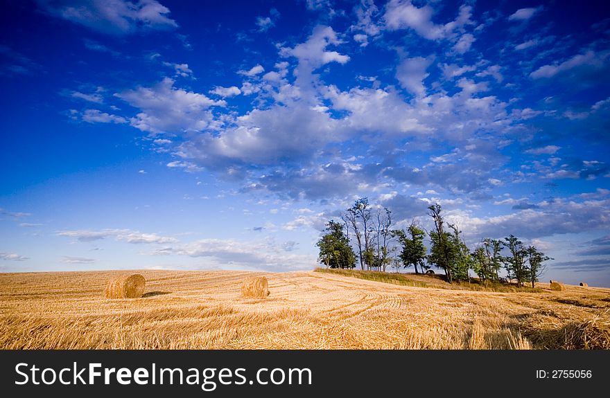 Summer hay bale in a ungarish field, and beauty landscape. Summer hay bale in a ungarish field, and beauty landscape