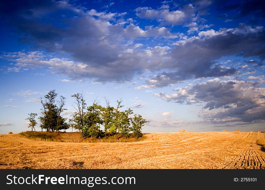 Summer hay bale in a ungarish field, and beauty landscape. Summer hay bale in a ungarish field, and beauty landscape