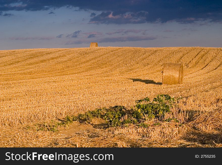 Summer hay bale in a ungarish field, and beauty landscape. Summer hay bale in a ungarish field, and beauty landscape