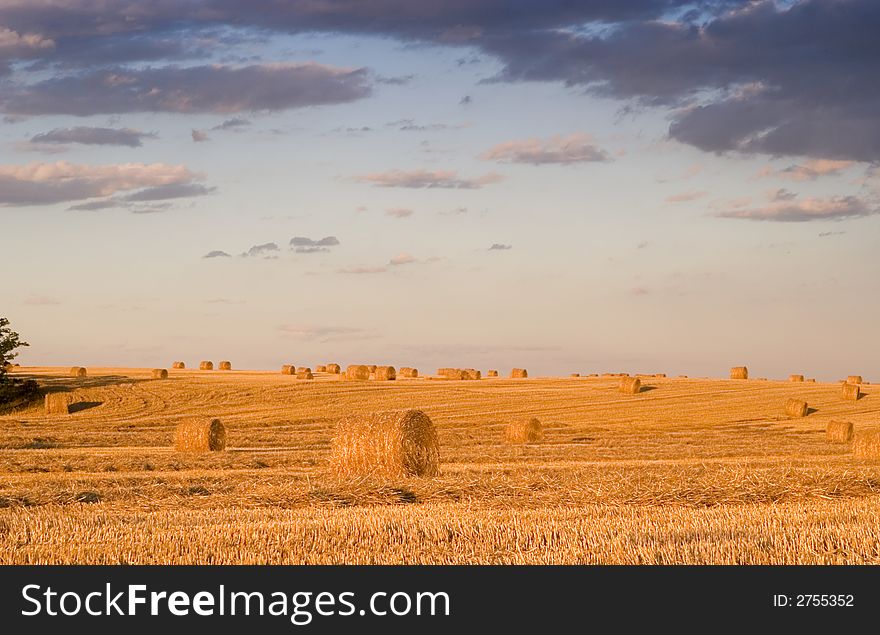 Summer hay bale in a ungarish field, and beauty landscape. Summer hay bale in a ungarish field, and beauty landscape