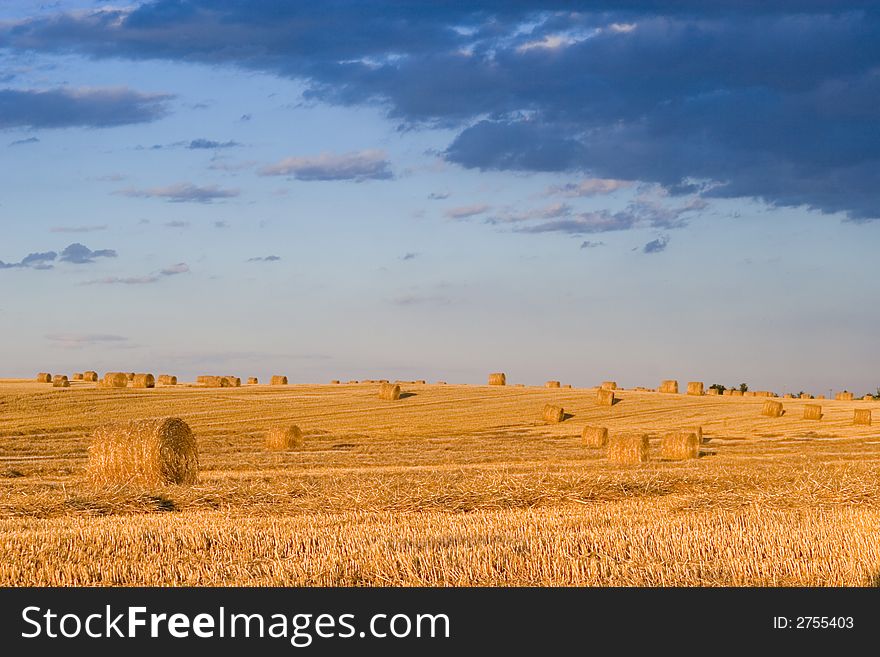 Summer hay bale in a ungarish field, and beauty landscape. Summer hay bale in a ungarish field, and beauty landscape