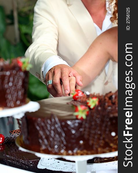 Newly-weds cutting the chocolate pie for celebration