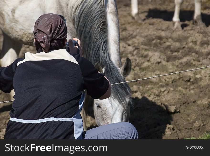 Photographer and horse