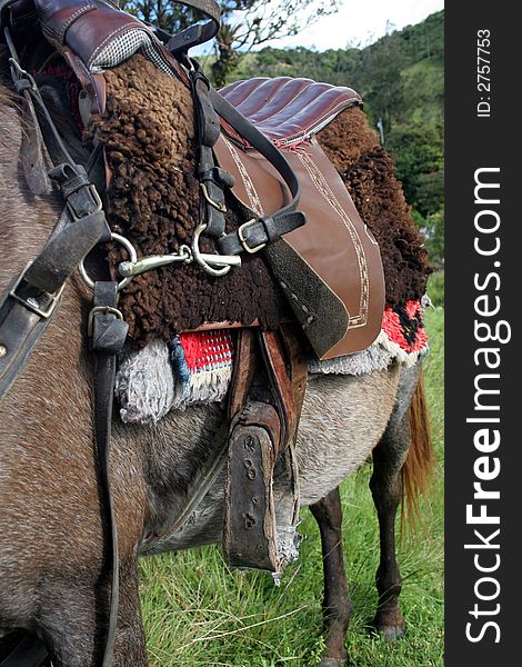 TYPICAL ANDEAN SADDLE ON HORSE IN ECUADOR