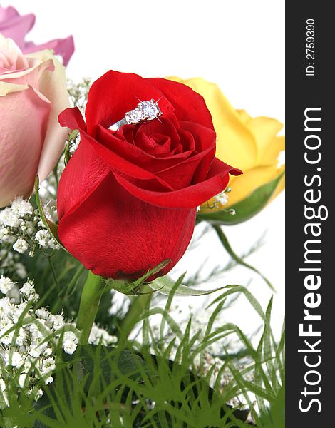 Wedding Ring in Rose, Will you marry me?