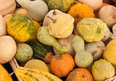 Pumpkins Royalty Free Stock Image Pumpkins Royalty Free Stock Image
