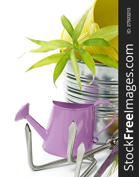 Purple Watering Can with Tin Buckets, Green Plant and Gardening Tools  on white background. Purple Watering Can with Tin Buckets, Green Plant and Gardening Tools  on white background