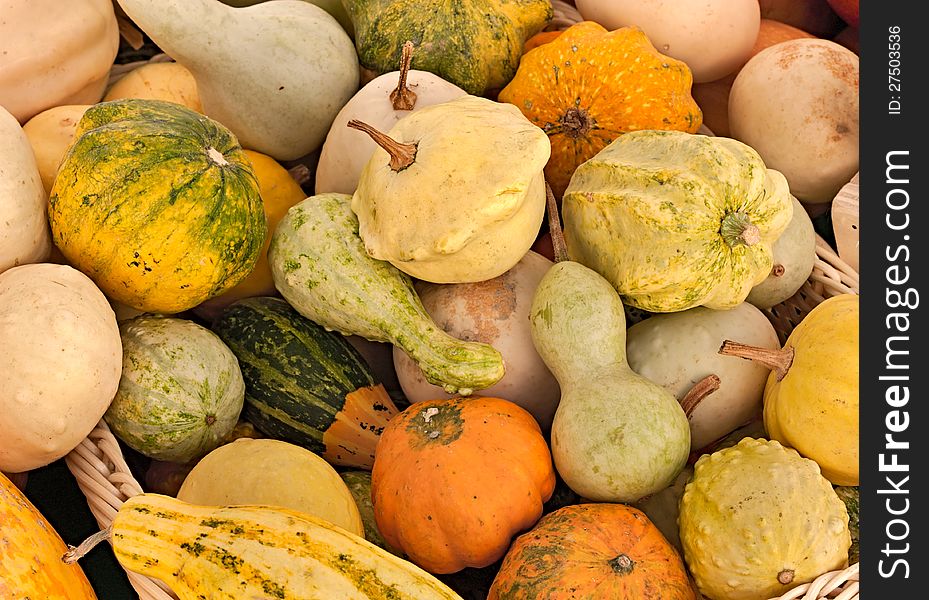 Pumpkins exposed in vegetable market - yellow, orange and green gourds