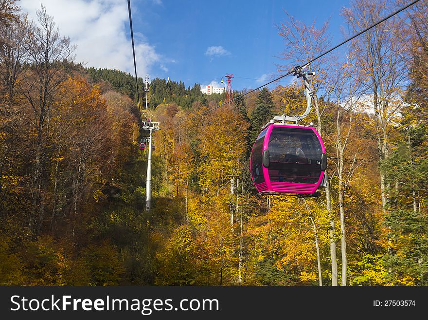 Cable car above the forrest