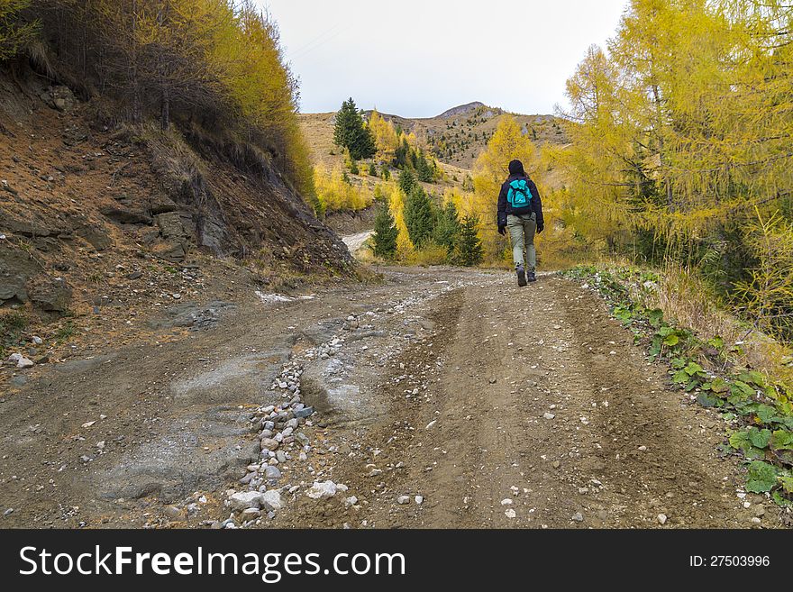 Mountain climber walking on forest road