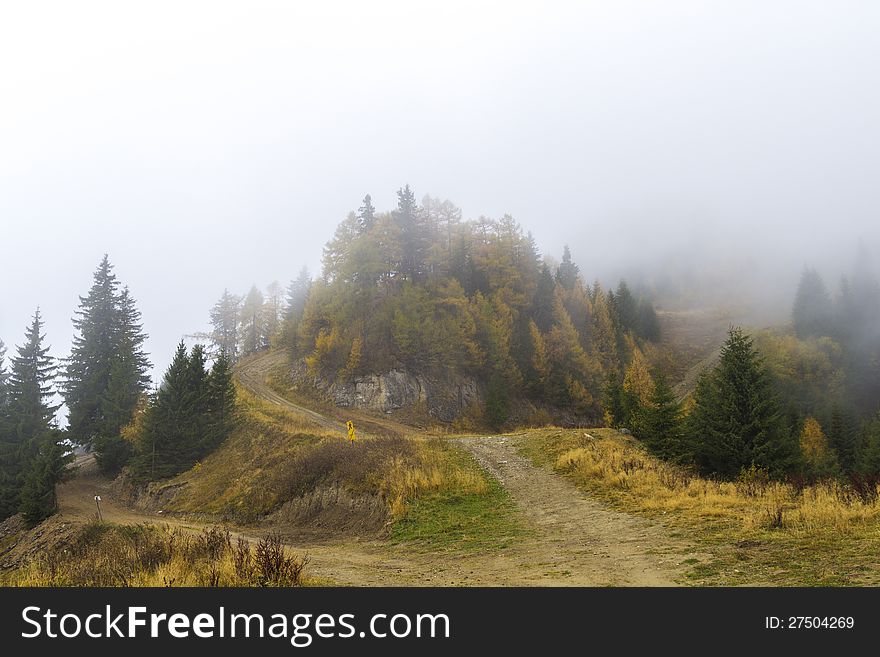 Forrest roads on foggy mountain