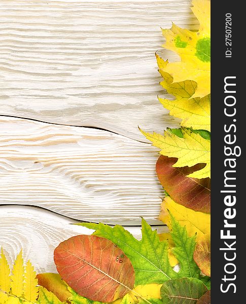 Autumn composition on a white wooden table. Autumn composition on a white wooden table