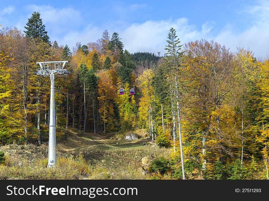 Cable cars above the forrest