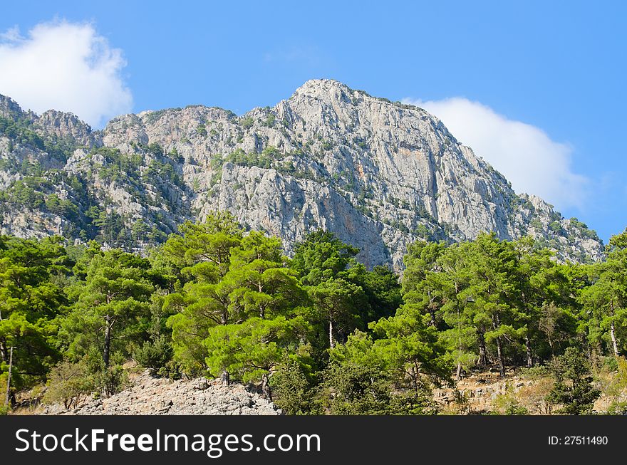 High mountains with growing trees and blue sky. High mountains with growing trees and blue sky