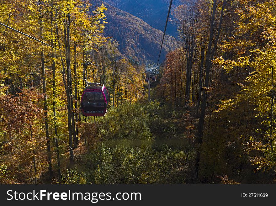 Cable car above the forrest