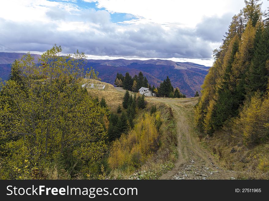 Autumn In Mountain Road