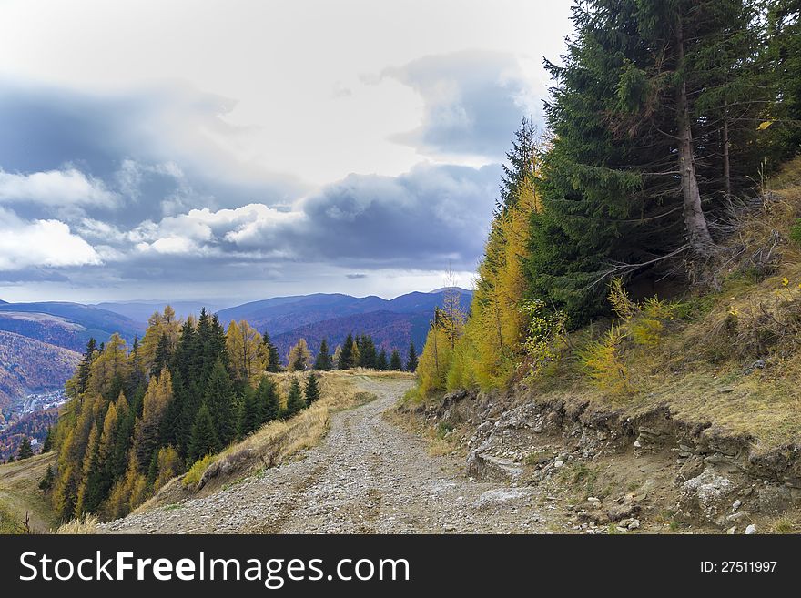 Autumn In Mountain Road