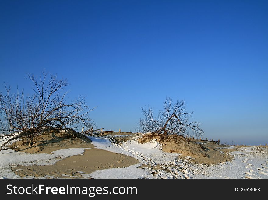 Snowy dunes during winter on sea coast