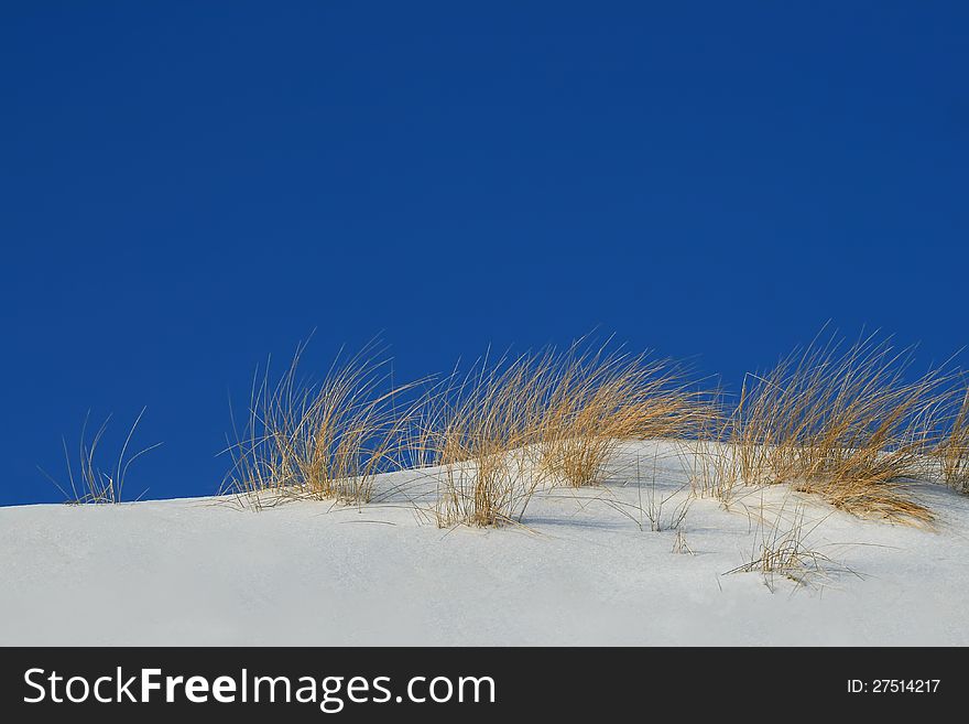 Snowy dunes during winter on sea coast