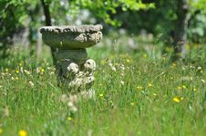 Field Bird Bath Stock Photos Field Bird Bath Stock Photos